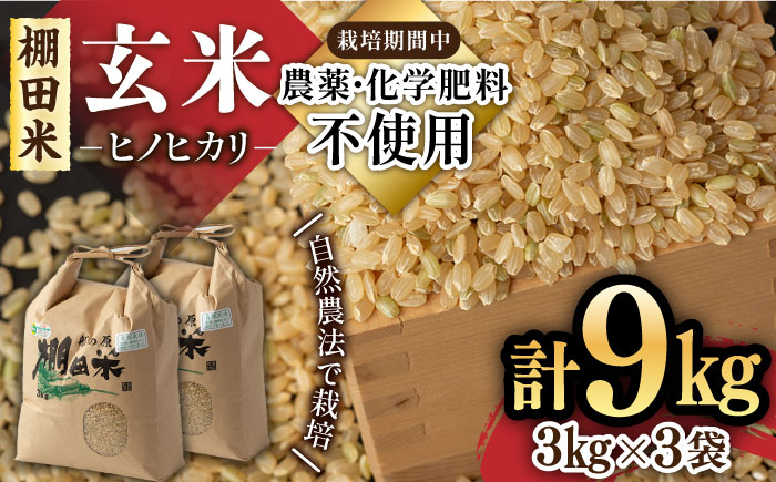 【新米 先行予約】【10月中旬以降順次発送】自然農法で育てた特別栽培米 令和6年産 新米 ヒノヒカリ 玄米 9kg（3kg×3袋）/永尾 忠則 [UAS007] 棚田米 棚田玄米 米 お米