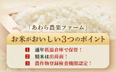 【令和5年産】《定期便3回》特別栽培米 いっちょらい 無洗米 5kg（計15kg）／ 福井県産 ブランド米 コシヒカリ ご飯 白米 新鮮 大賞 受賞