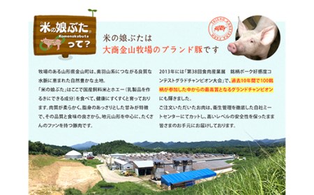米の娘ぶたを使用した「米の娘ぎょうざ」(20g×48個) 餃子 ギョウザ 生餃子 焼き餃子 水餃子 豚肉 ブランド豚 ニラ 冷凍  金山町 F4B-0220