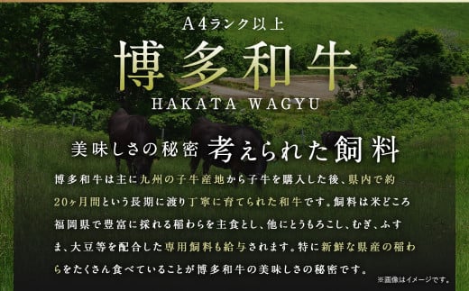 佐賀牛 ＆ 博多和牛 切り落とし 1.2kg （600g×2パック）