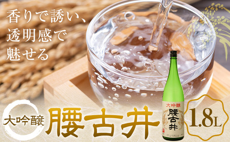 腰古井 大吟醸 1.8L 1本 有限会社 滝口商店《30日以内に出荷予定(土日祝除く)》千葉県 勝浦市 日本酒 酒 大吟醸