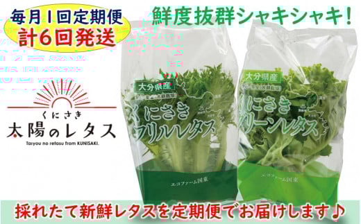 毎月お届け！くにさき太陽のレタス定期便/計6回発送(2120R)_イメージ1