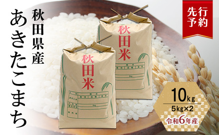 10月発送開始〈先行予約〉農家直送 秋田県産 あきたこまち 10kg (5kg×2)[令和7年産] 大谷地ファーム 田代のお米【 米 お米 ご飯 あきたこまち ブランド米 銘柄米 農家直送 特産品 秋田 羽後 】