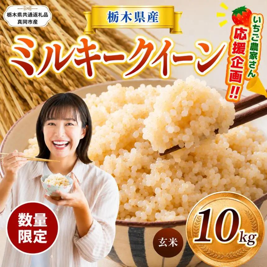 先行予約 令和8年度産 栃木県産 ミルキークイーン 10kg |【栃木県共通返礼品】