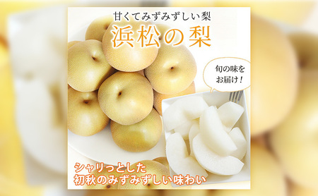 浜松市産 梨 約5kg 10〜16玉入り なし フルーツ 果物 静岡 浜松市【配送不可：離島】