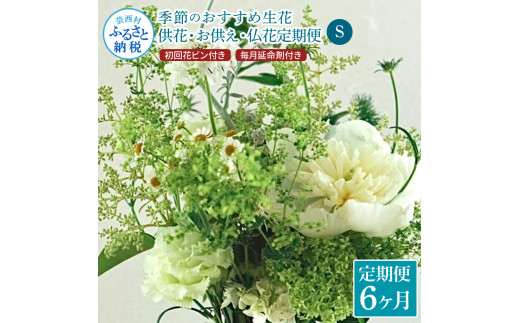 【CF-R5frp】t167tmf　《6ヵ月定期便》花束一束 お供え 初回花瓶付S 定期便 定期コース 全6回 初回花瓶付き 延命剤付き 花びん 生花 仏花 供花 花束 はな 花 法要 お盆 花 おすすめ 一束 季節のお花 供花 お供え<br>