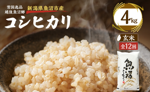 【定期便：雪国逸品 玄米4kg×12ヶ月】越後魚沼郷 魚沼産コシヒカリ