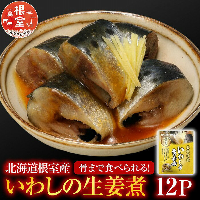 【ふるさと納税】 [北海道根室産] いわしの生姜煮 12P いわし イワシ 鰯 さかな 魚 サカナ お取り寄せ グルメ 海鮮 おかず ご飯のお供 生姜煮 北海道 根室市 ふるさと納税 G-09013