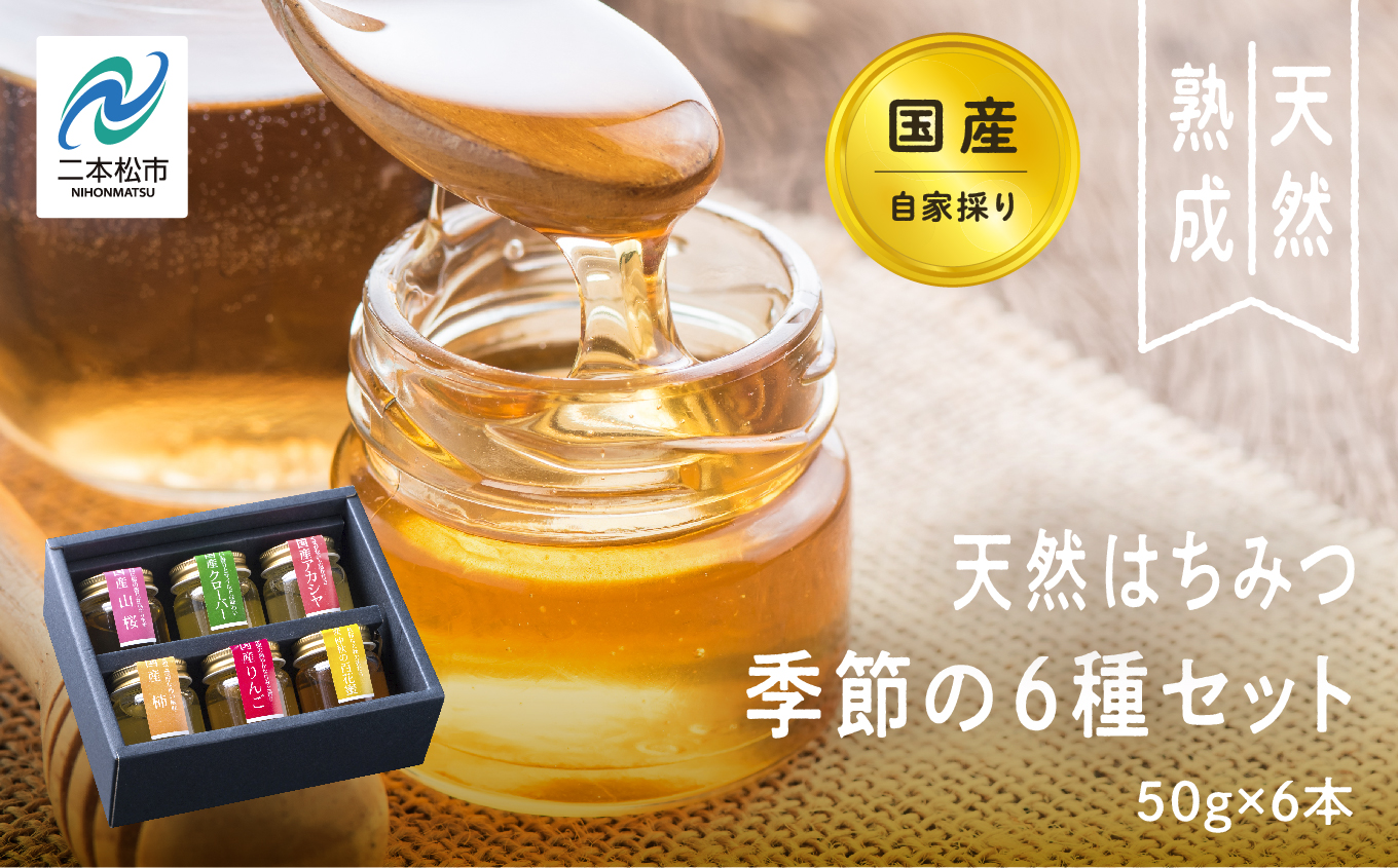 自家採り国産天然はちみつ 季節の6種セット【株式会社渡辺養蜂場】