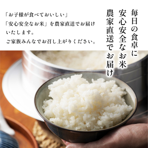〈8年産予約〉【定期便】有機米 無農薬 コシヒカリ 玄米 ( 5kg×6回 計30kg ） 有機米