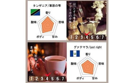 スペシャルティコーヒー6ヵ国　ワールドトラベルセット コーヒー（豆）