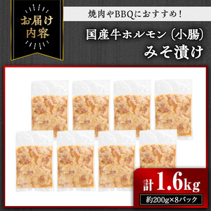 国産牛ホルモン（小腸）みそ漬け(計1.6kg・約200g×8パック) 牛肉 ホルモン みそ漬け【おきどき】A886