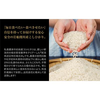 ふるさと納税 関川村 [先行予約] R7年産 関川村産こしひかり6kg ふっくら美味しさ 岩船米 [横山農産] |  | 01
