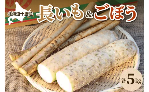 北海道十勝芽室町 ファーム・ミリオンの長芋ごぼうセット 10kg me016-014c