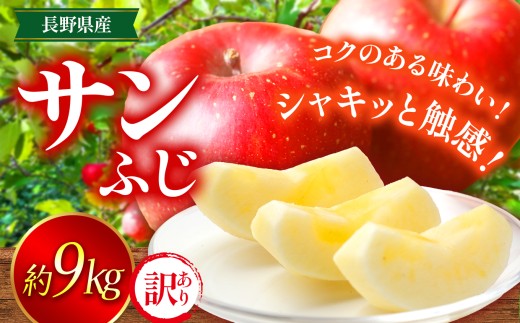 りんご 信州 上伊那産 訳あり サンふじ 約9kg （玉数おまかせ） | 果物 フルーツ りんご 林檎 訳あり サンふじ 上伊那産 長野県 伊那市 【017-27】