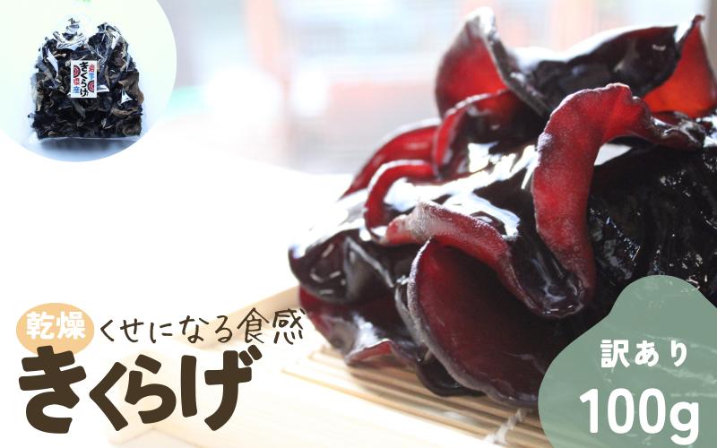 
            岩手県産 訳あり乾燥きくらげ 100g コリっとプルプル食感がたまらない国産きくらげ / きくらげ 乾燥きくらげ キノコ 国産 訳あり
          