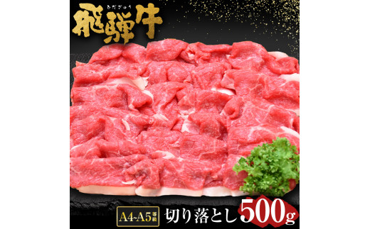 
飛騨牛 A4 A5 等級 切り落とし 500g | 肉のかた山 牛肉 M11S66
