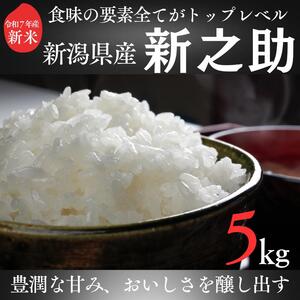 令和7年度産　上越市産新之助　5kg　新米　精米　新潟　米　新潟県　新之助　限定　おすすめ