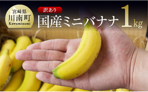 
【訳あり】国産ミニバナナ１ｋｇ
