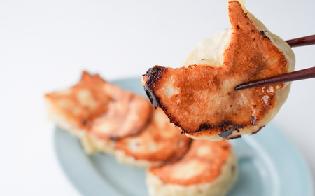 佐野餃子(大)10個2人前×2パックと濃縮佐野ラーメン6人前【配送不可地域：離島・沖縄県】【1061579】