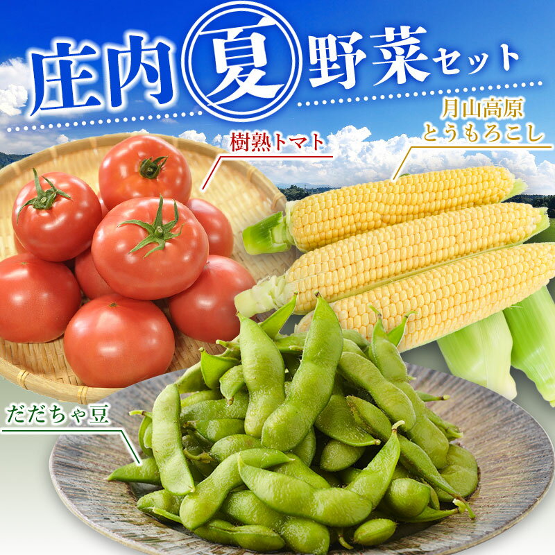 【ふるさと納税】【令和7年産先行予約】庄内夏野菜セット　だだちゃ豆（約1kg）＆月山高原とうもろこし（約250g×5本）＆樹熟トマト(2〜3玉入×3P）