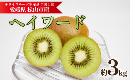 キウイフルーツ ヘイワード 約3kg 【2026年11月上旬頃から順次発送】 |  キウイ グリーンキウイ ヘイワード キウイフルーツ フルーツ 果物 きうい くだもの デザート 産地直送 数量限定 国産 送料無料 愛媛県 松山市【KNN012】