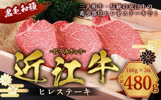 
近江牛 ヒレ ステーキ 160g×3枚　牛肉 和牛 黒毛和牛 国産　 AI02
