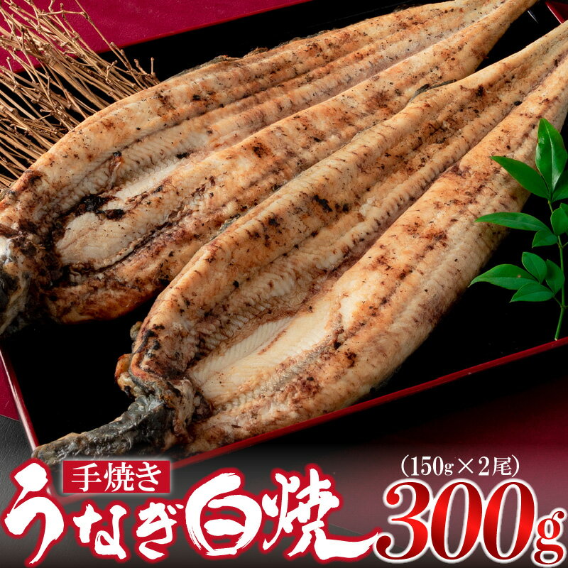 【ふるさと納税】国産 鰻 白焼き 約150g×2尾 真空 高級 宮若市 [M635-1] うなぎ ウナギ 土用の丑の日 オススメ 定期便 3ヶ月 6ヶ月