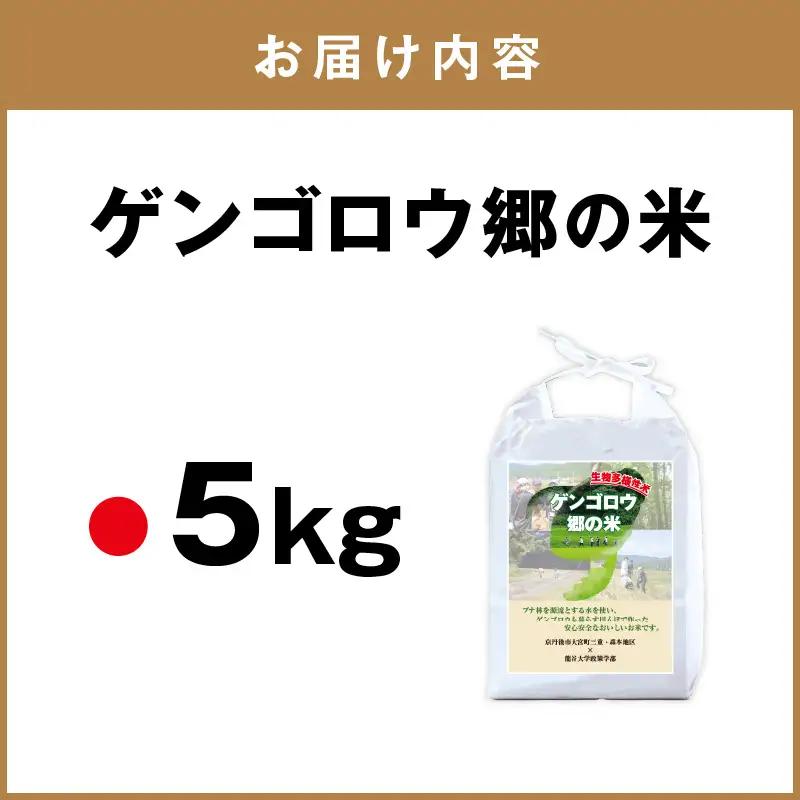 米 新米 2025年産 京丹後産コシヒカリ「ゲンゴロウ郷の米」5kg箱入