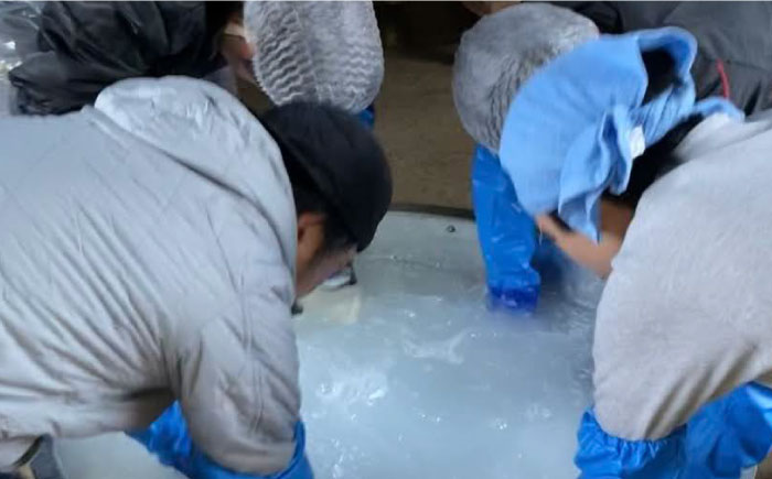 【最上級の美味しさ】純米大吟醸酒 飲み比べ 清泉石上流 純米大吟醸・BANG 純米大吟醸 720ml×2 / 日本酒 お試し 晩酌 飲み比べ / 南島原市 / 酒蔵吉田屋 [SAI035]