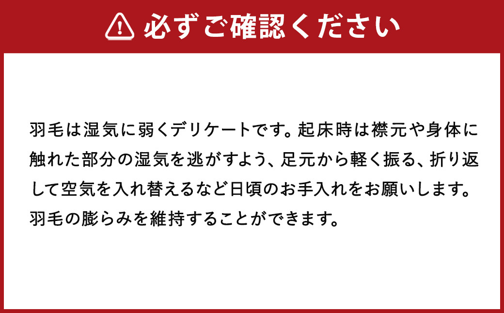 羽毛掛け布団/ポーランドホワイトグース・スーピマ 超長綿 80サテン生地 クイーンサイズ SaitoYoshinori羽毛工房