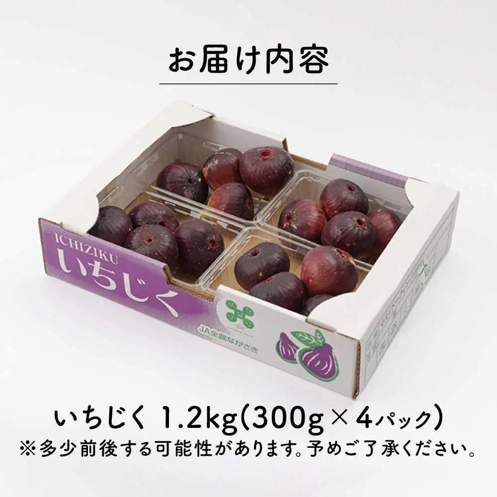 いちじく 約300g×4パック [OCU004] いちじく イチジク