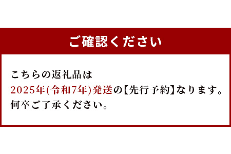 【2025年5月下旬～順次発送予定】先行予約 熊本県産 肥後 グリーンメロン 【大玉】 2玉／合計4kg以上【 ご予約 予約 令和7年 メロン 果物 フルーツ 旬 甘い デザート くだもの 大玉 4k