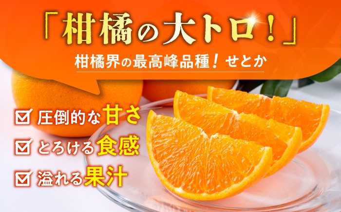 せとか みかん 約2.5kg 果物 化粧箱入り フルーツ ミカン 蜜柑 柑橘 かんきつ くだもの 旬 ギフト