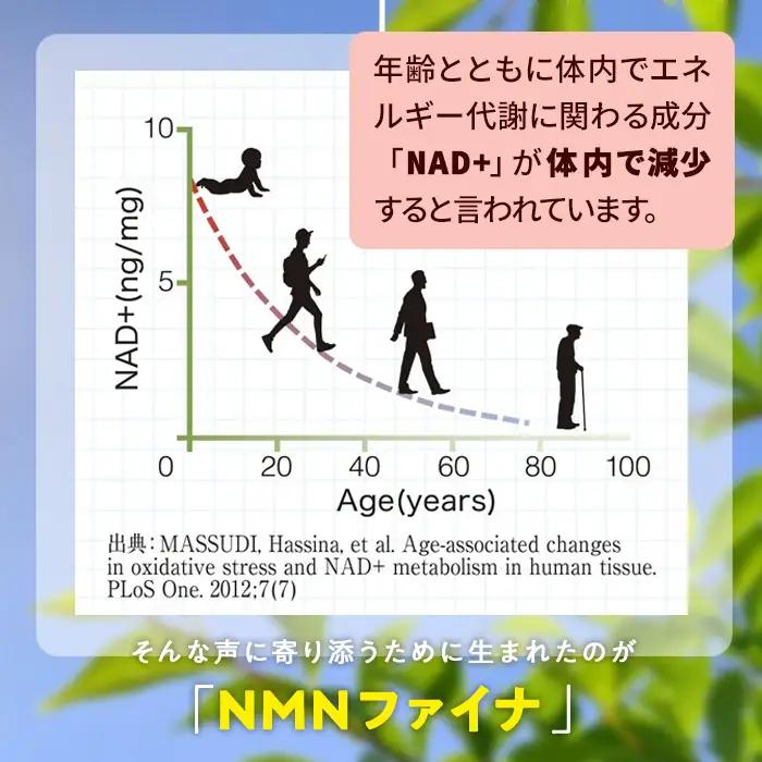 ＜定期便・全6回(毎月)＞ NMNファイナ サプリメント 完全国内生産1箱×6回・計6箱（約180日分・1080粒) 健康サポート 高純度 【GM003】【三菱商事ライフサイエンス (株)】