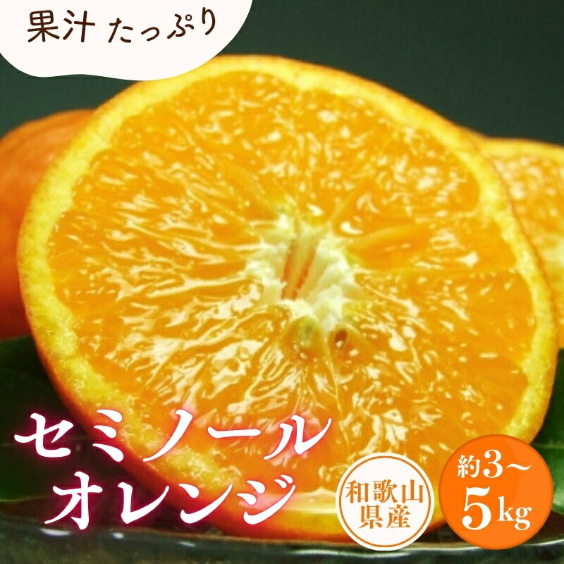 【ふるさと納税】 セミノールオレンジ 約5kg/サイズおまかせ ※2026年4月中旬〜2026年5月下旬頃に順次発送予定(お届け日指定不可) 紀伊国屋文左衛門本舗