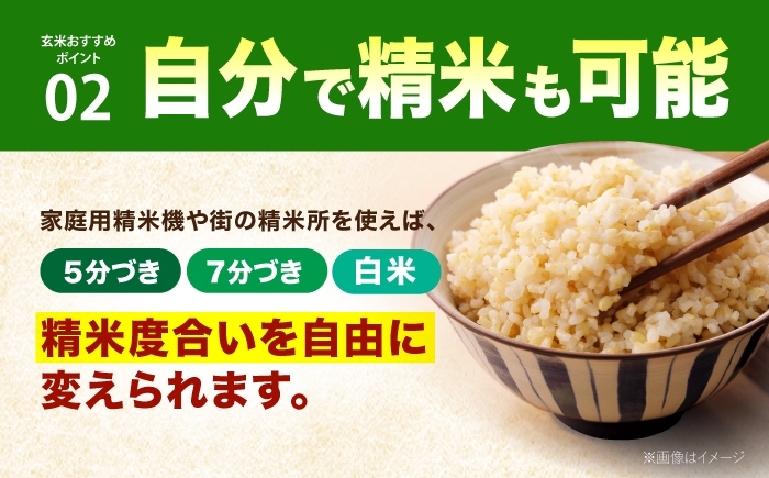 さがびより 玄米 20kg ( 10kg×2袋 ) 【ひなたむらのお米】 [HAC005] 米 佐賀 佐賀県産 特A評価 玄米