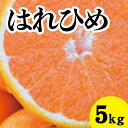 【ふるさと納税】【先行予約】はれひめ約5kg【2025年1月以降発送】新品種 広島 三原 佐木島 鷺島みかんじま フルーツ 蜜柑 柑橘 果物 みかん ミカン 産地直送 お取り寄せ 017018