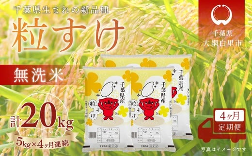 ＜4か月定期便＞ 千葉県産「粒すけ」無洗米 5kg×4か月連続 計20kg