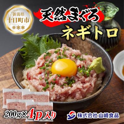 ふるさと納税 十日町市 天然マグロたたき 200g×4パック 計800g 新潟県十日町市