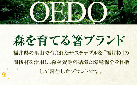 OEDO -SOLID- Red 福井の森から生まれたお箸（食洗機対応 若狭塗箸 1膳）/ 国産 木製 箸 サステナブル 小浜市 / スタイル・オブ・ジャパン[BFCX056]