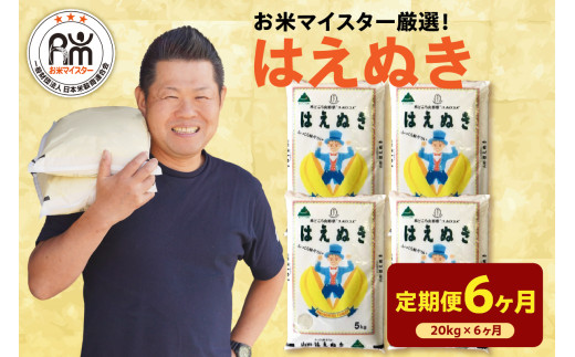 【先行予約】 6ヶ月定期便 令和8年産 はえぬき 20kg ( 5kg × 4袋 ) × 6回 計120kg 2026年産 精米 米 白米 ブランド米 お米マイスター 厳選 送料無料 山形県 米沢市
