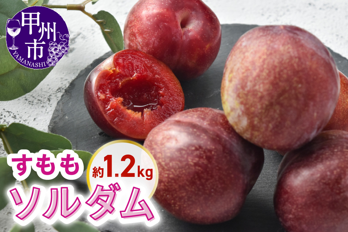 
            甲州市産すもも ソルダム 約1.2kg【2025年発送】（KSB）B11-132 【すもも ソルダム 桃 もも モモ 令和7年発送 期間限定 山梨県産 甲州市 フルーツ 果物】
          