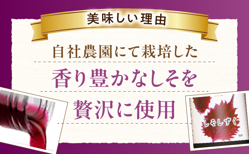 しそしずく 3本セット(720ml×3本) _K021-037
