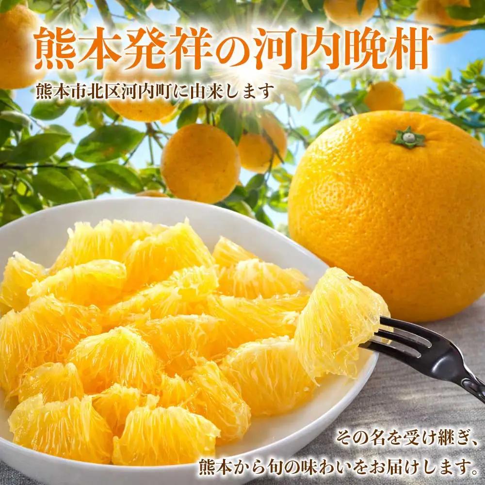 先行予約 訳あり 河内晩柑 ジューシーオレンジ みかん 約4kg 【2027年3月上旬～4月中旬発送予定】