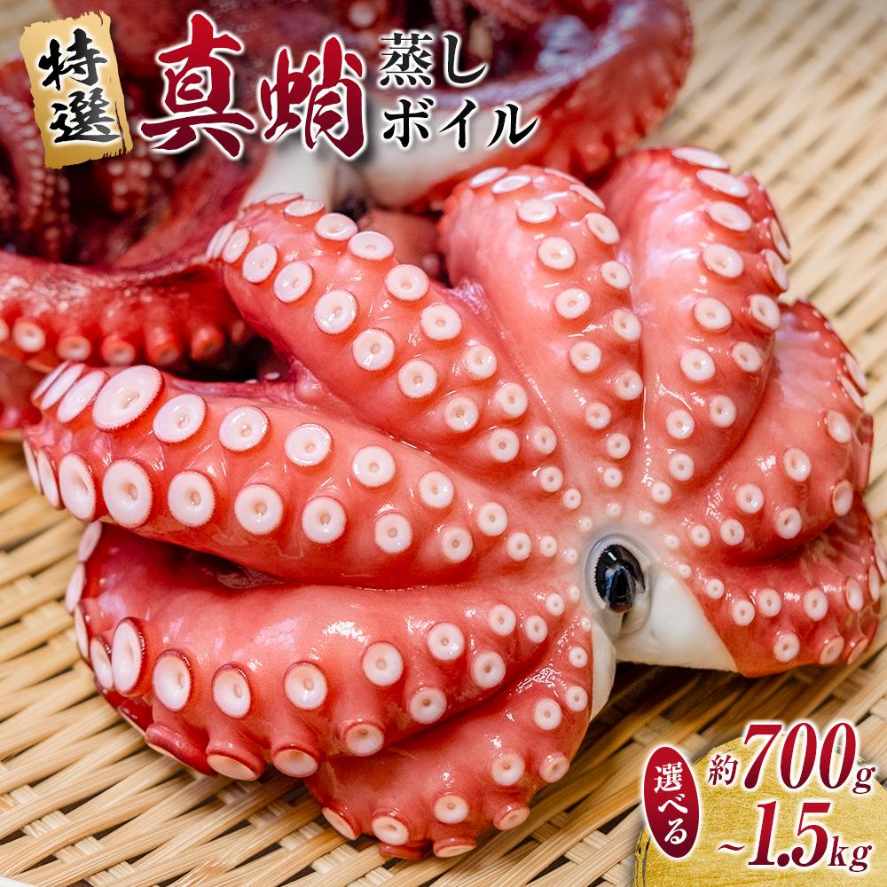 【ふるさと納税】[選べる容量] ＼大容量／ たこ 真蛸 蒸しボイル 約700g～約1.5kg 1尾～3尾　【配送不可地域：北海道・沖縄・離島】 | 蛸 タコ 刺身 刺し身 たこ焼き たこやき たこ飯 たこ刺し カルパッチョ 酢の物 まだこ サラダ パスタ 唐揚げ 人気 おすすめ おつまみ 海鮮