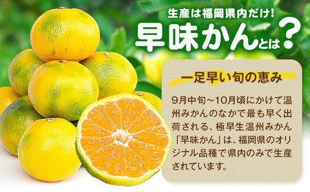 みかん 早味かん 約4kg 南国フルーツ株式会社【26年度出荷】《9月中旬-9月下旬頃出荷》福岡県 小竹町 福岡県産 みかん 早味かん フルーツ 果物