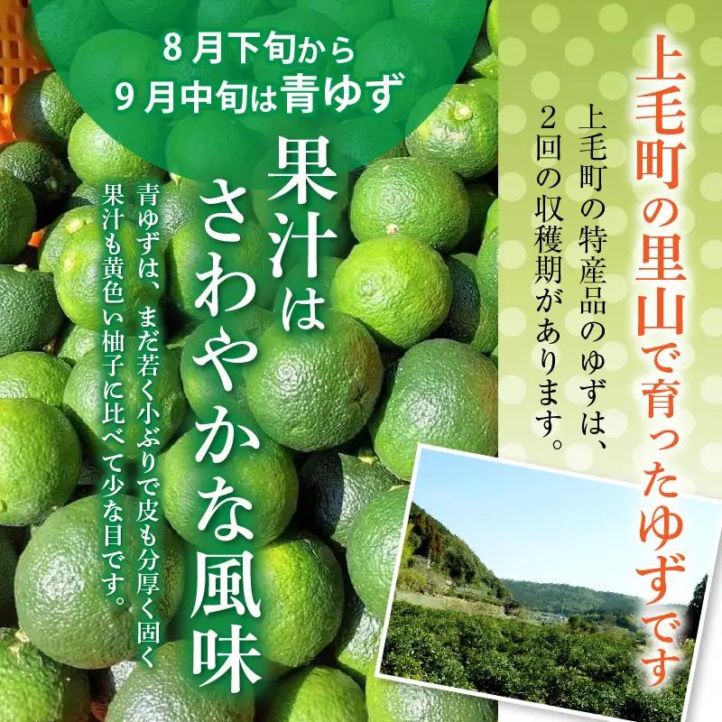 訳あり 青ゆず生果実　どっさり10kg _MM0108