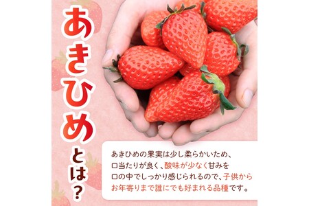 【先行予約／数量限定100】【特選】京都・まつみやファームの大粒いちご（あきひめイチゴ）15～20粒（2025年2月上旬～発送）