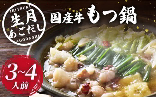 【着日指定 可能】【丁寧に引いたあごだしの旨み】生月 あごだし 国産牛 もつ鍋（3〜4人前）平戸市 [KAA190]